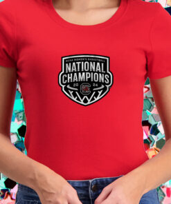 SOUTH CAROLINA WOMEN'S BASKETBALL 2024 NATIONAL CHAMPIONS LOGO T-SHIRT2