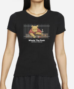 Unethical Threads Winnie The Pooh T-Shirts