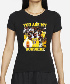 You Are My Sunshine Lebron James T-Shirts