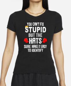 You Can't Fix Stupid But The Hats Sure Make It Easy To Identify T-Shirt