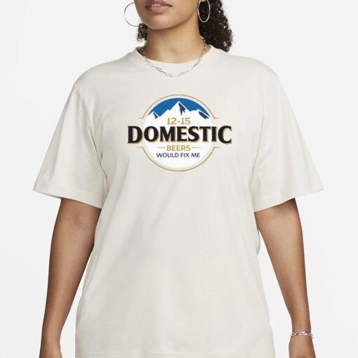 12-15 Domestic Beers Would Fix Me T-Shirt1