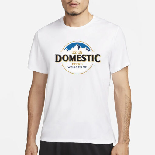 12-15 Domestic Beers Would Fix Me T-Shirt4