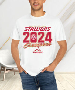 BIRMINGHAM STALLIONS 2024 UFL CHAMPIONS T-SHIRT4