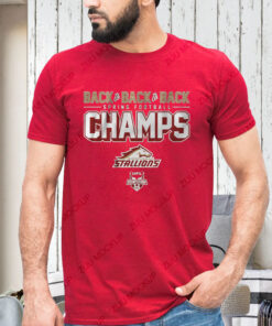 BIRMINGHAM STALLIONS BACK-TO-BACK-TO-BACK SPRING FOOTBALL CHAMPS T-SHIRT1