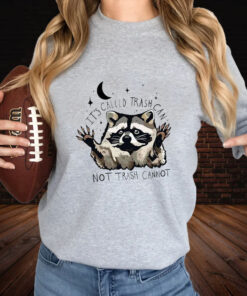 Raccoon It’s Called Trash Can Not Trash Cannot T-Shirt3