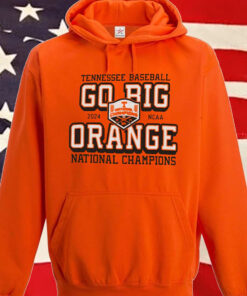 Tennessee Volunteers Champion 2024 Ncaa Men’s Baseball College World Series Champions Go Big Orange Hoodie