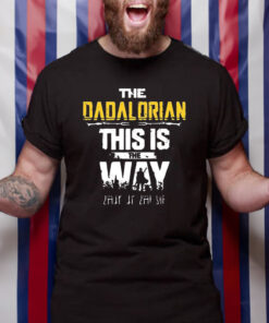 The Dadalorian This Is The Way Vintage Father’s Day T-Shirt, Gifts For Men2